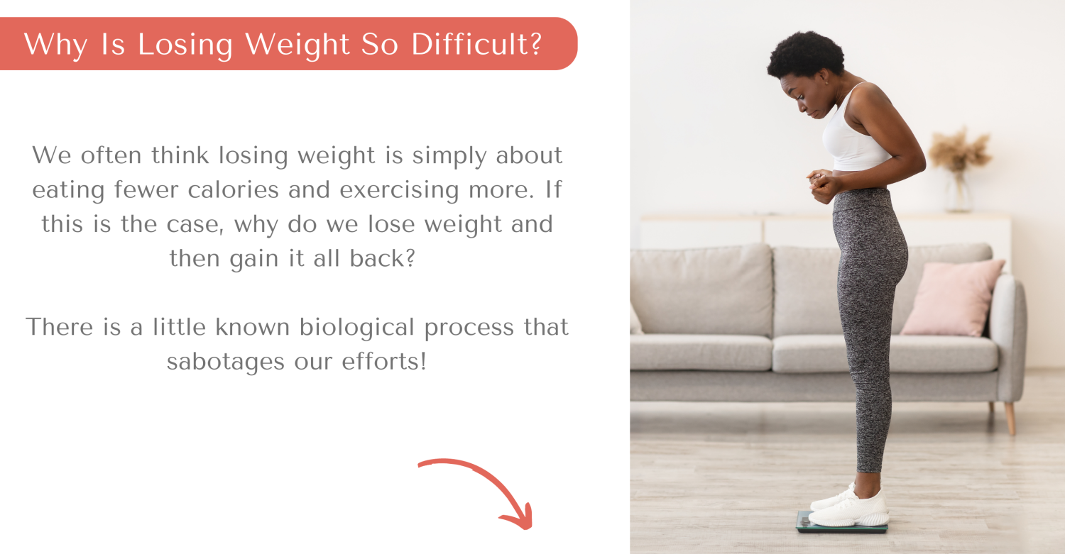 Naperville Weight Loss Ideal Weight Loss Program Naperville