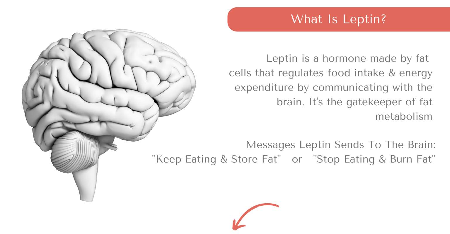 Naperville Weight Loss Ideal Weight Loss Program Naperville