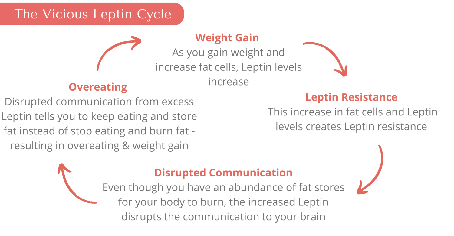 Naperville Weight Loss Ideal Weight Loss Program Naperville