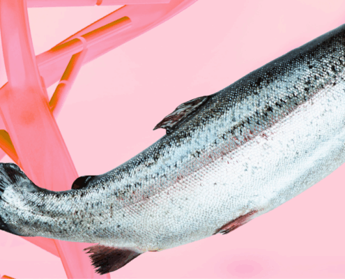 PDRN Microneedling Naperville, Salmon DNA Facial Naperville, Salmon Sperm Facial Naperville, Salmon Sperm Microneedling Naperville, PDRN Facial Naperville, Regenerative Microneedling Naperville, Fusion Med Sp